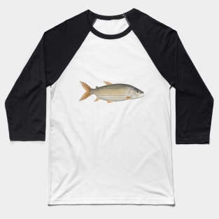 Tiger Fish Baseball T-Shirt